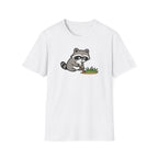 Raccoon Touching Grass