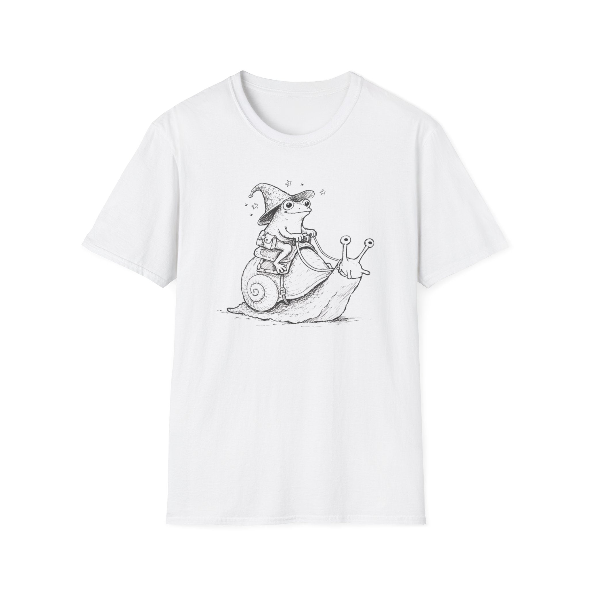 Wizard Riding A Snail