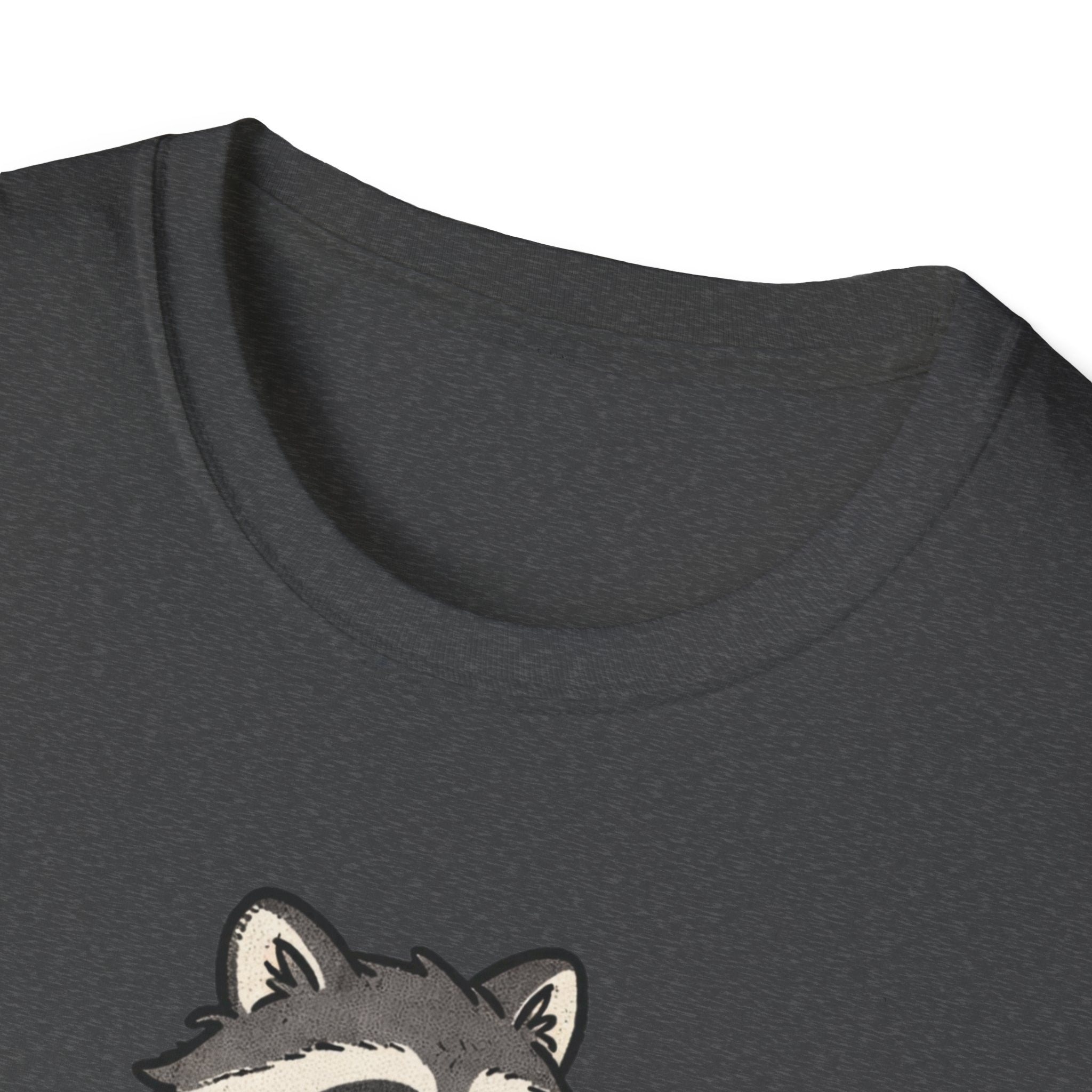 Tired Raccoon