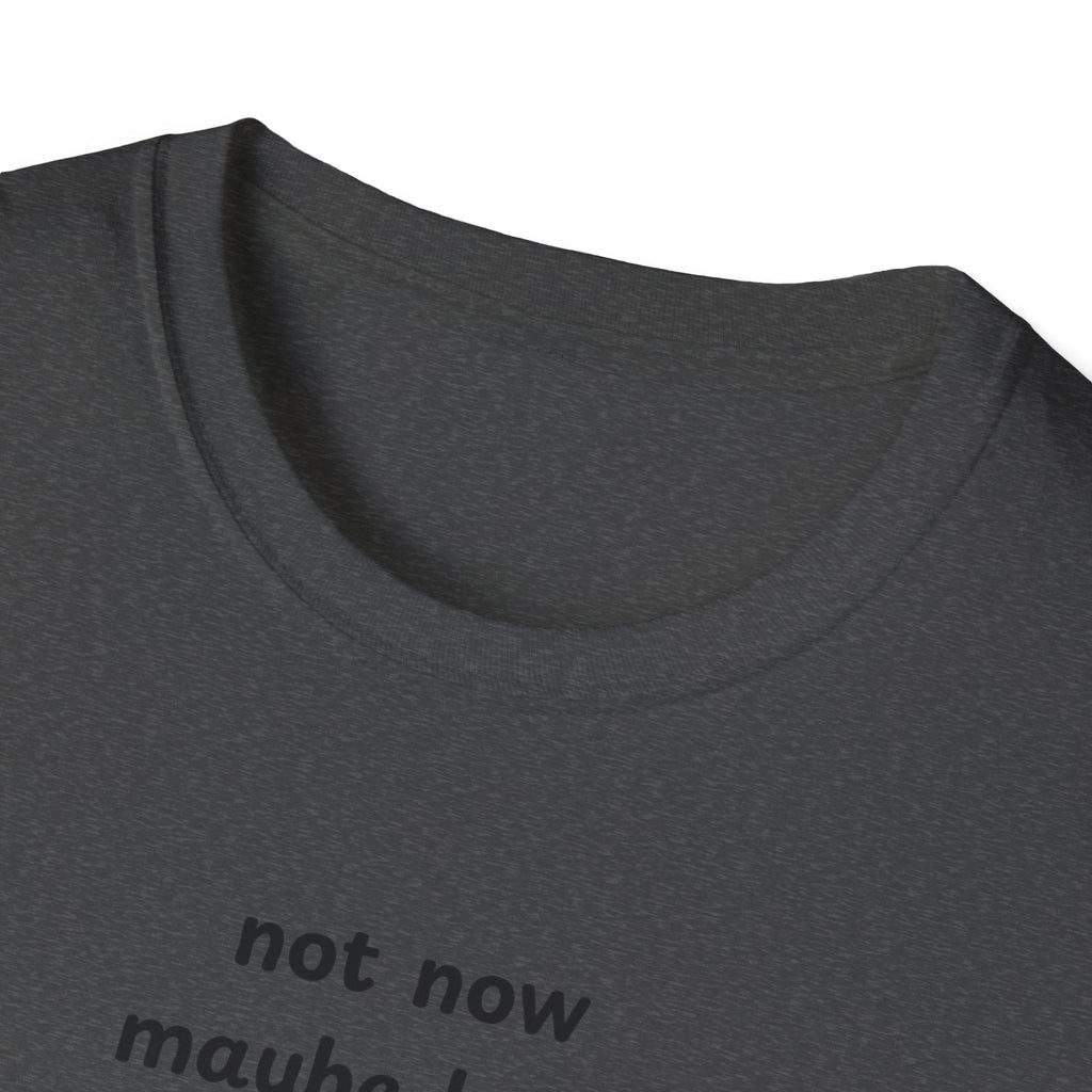 not now maybe later never