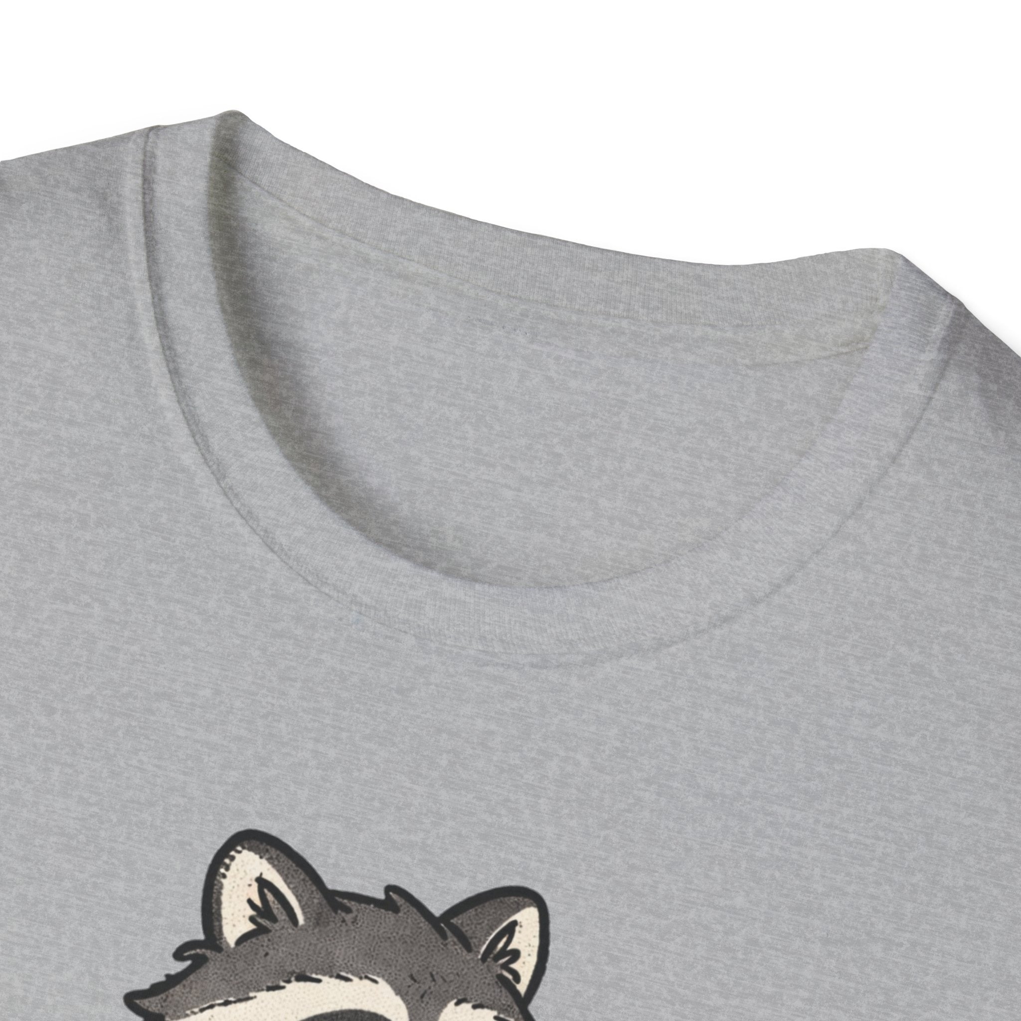 Tired Raccoon