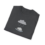 Raining on a rock