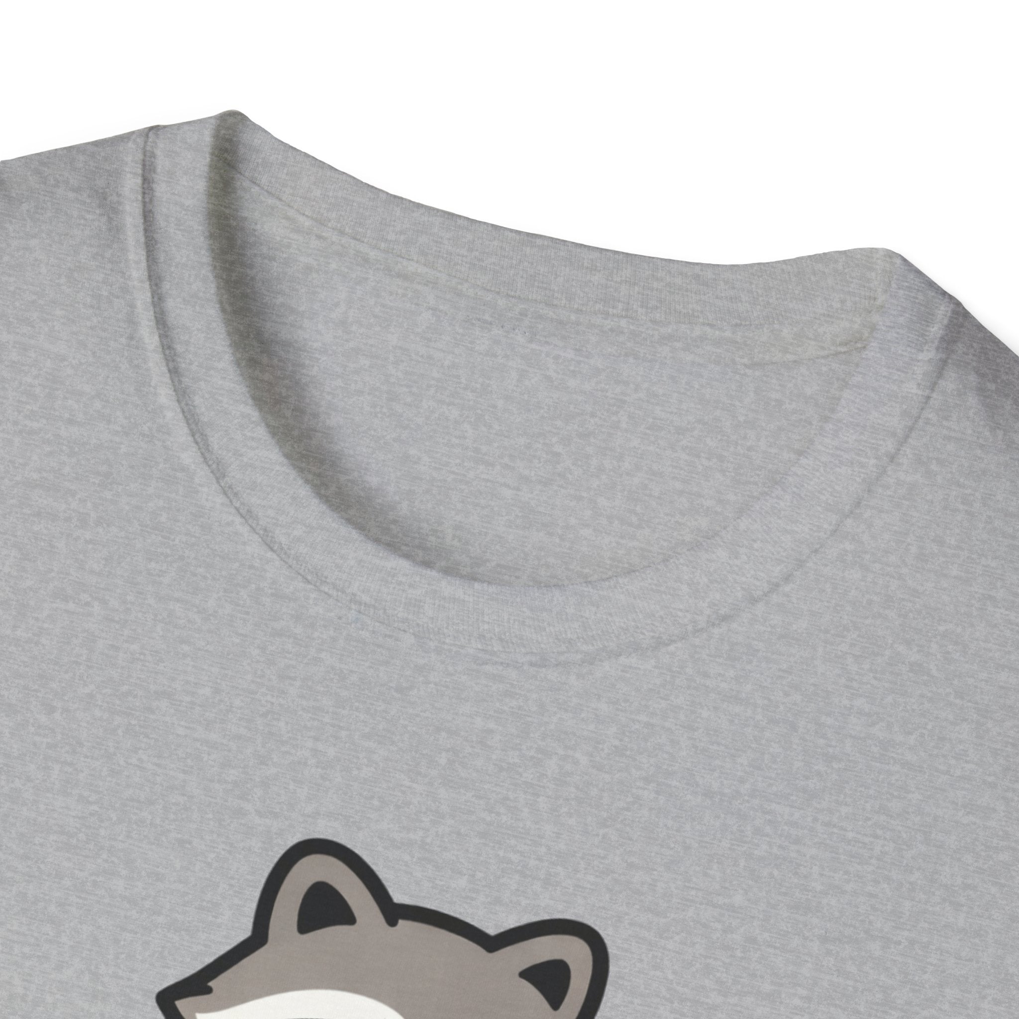 Raccoon Touching Grass