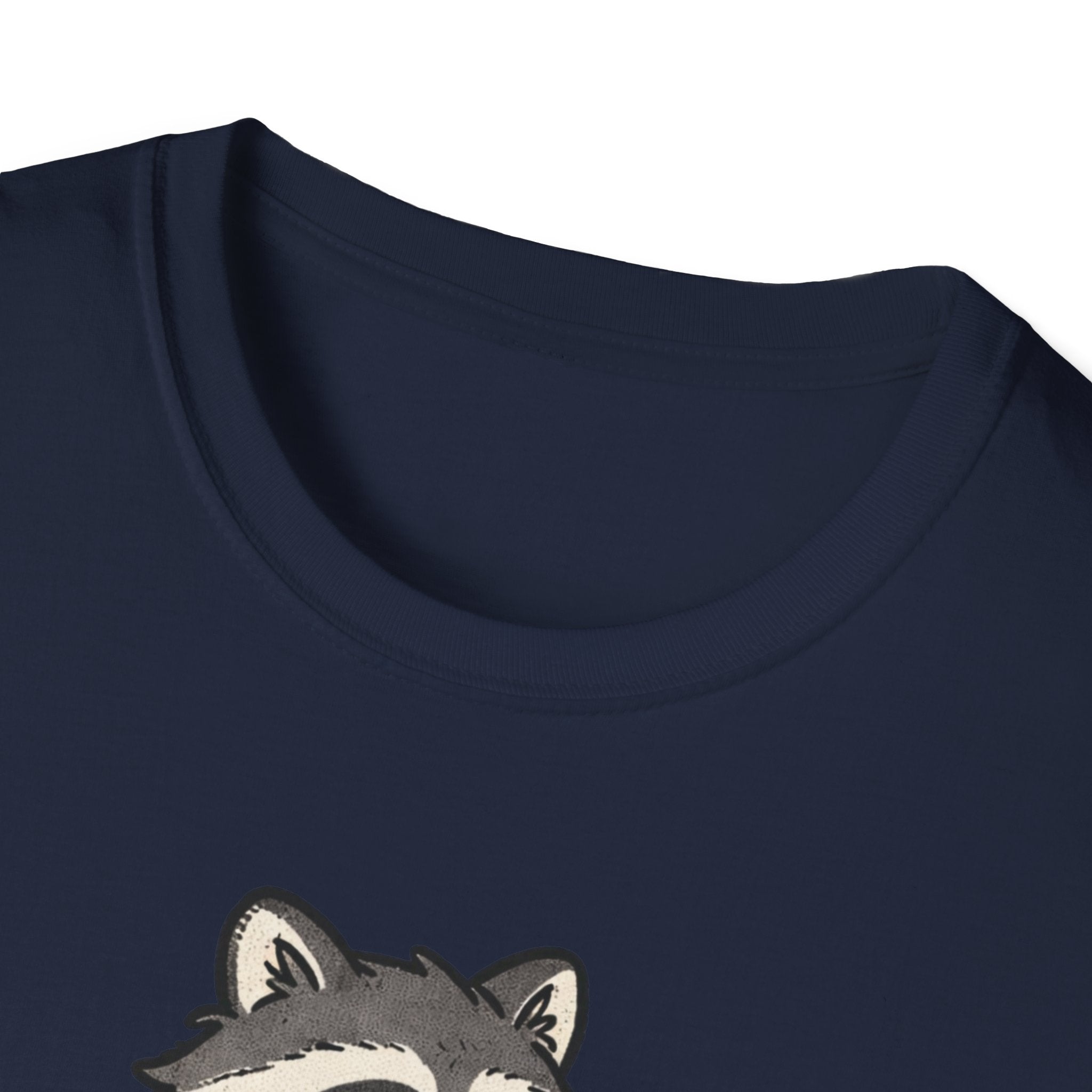 Tired Raccoon