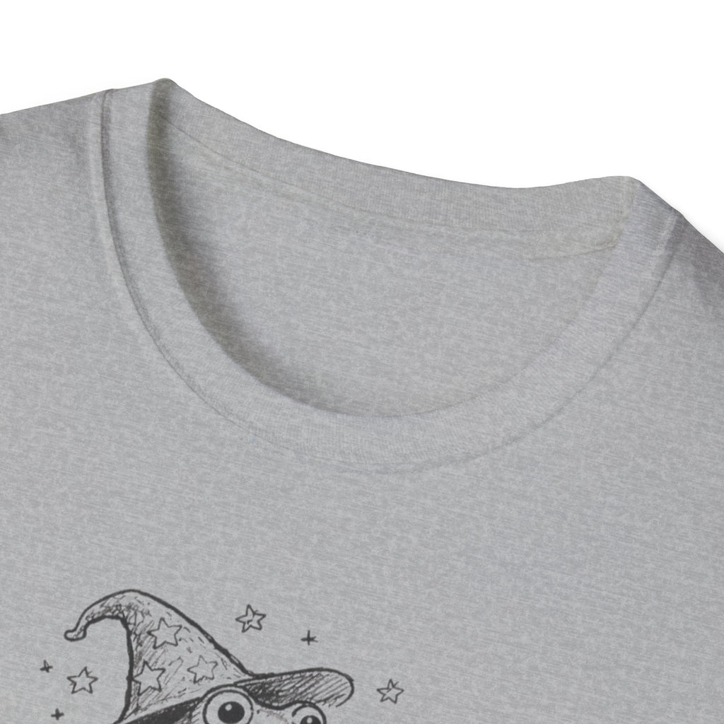 Wizard Riding A Snail