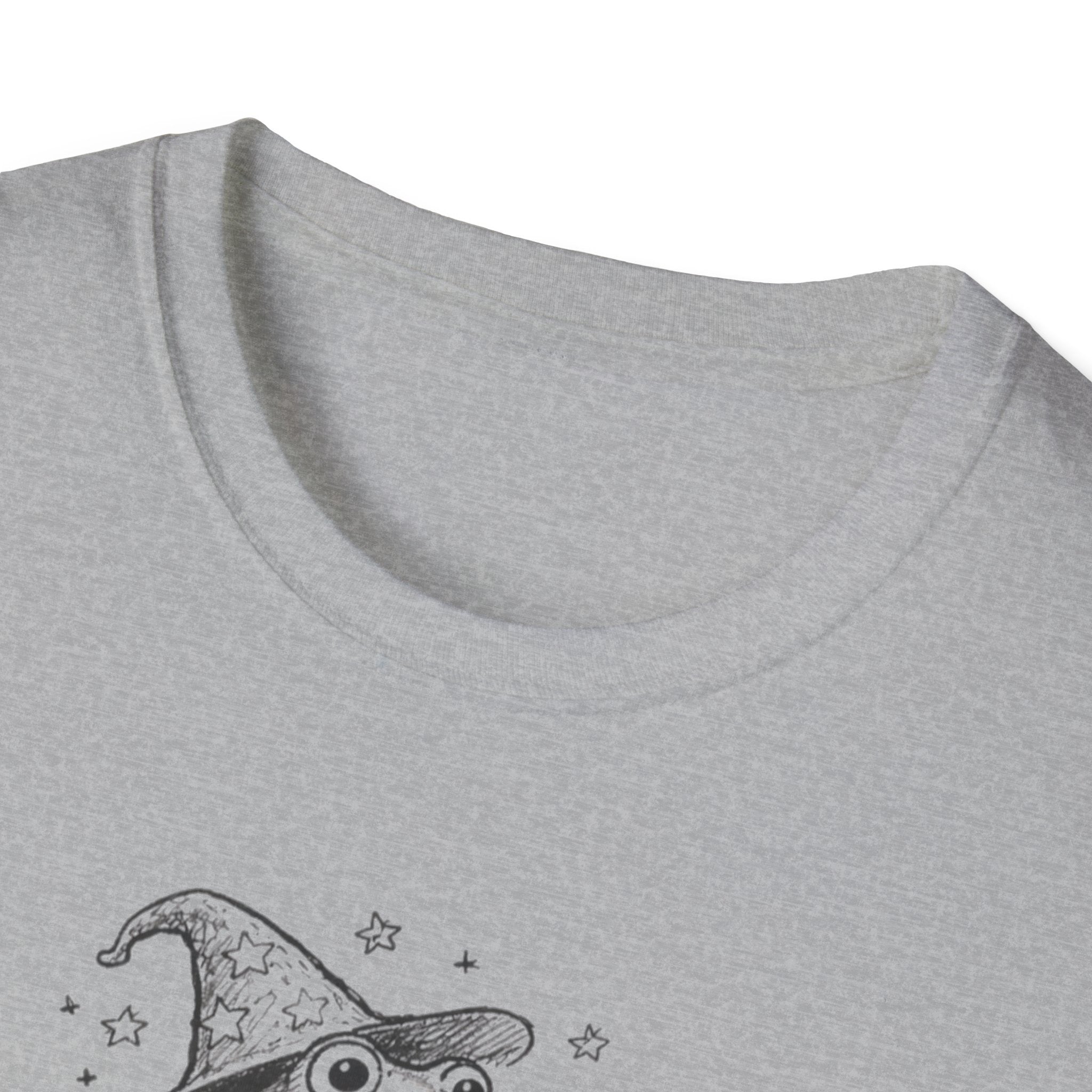 Wizard Riding A Snail