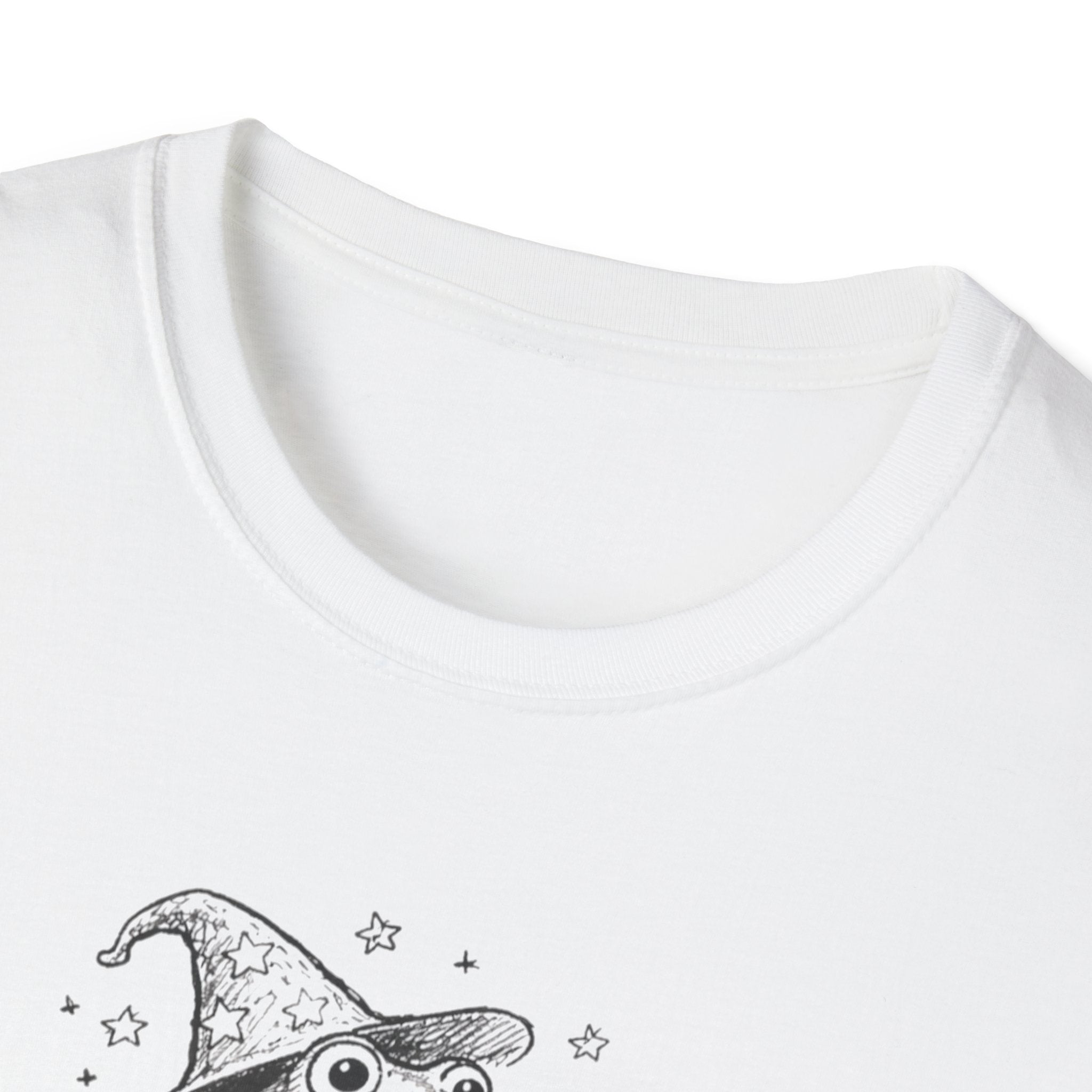 Wizard Riding A Snail