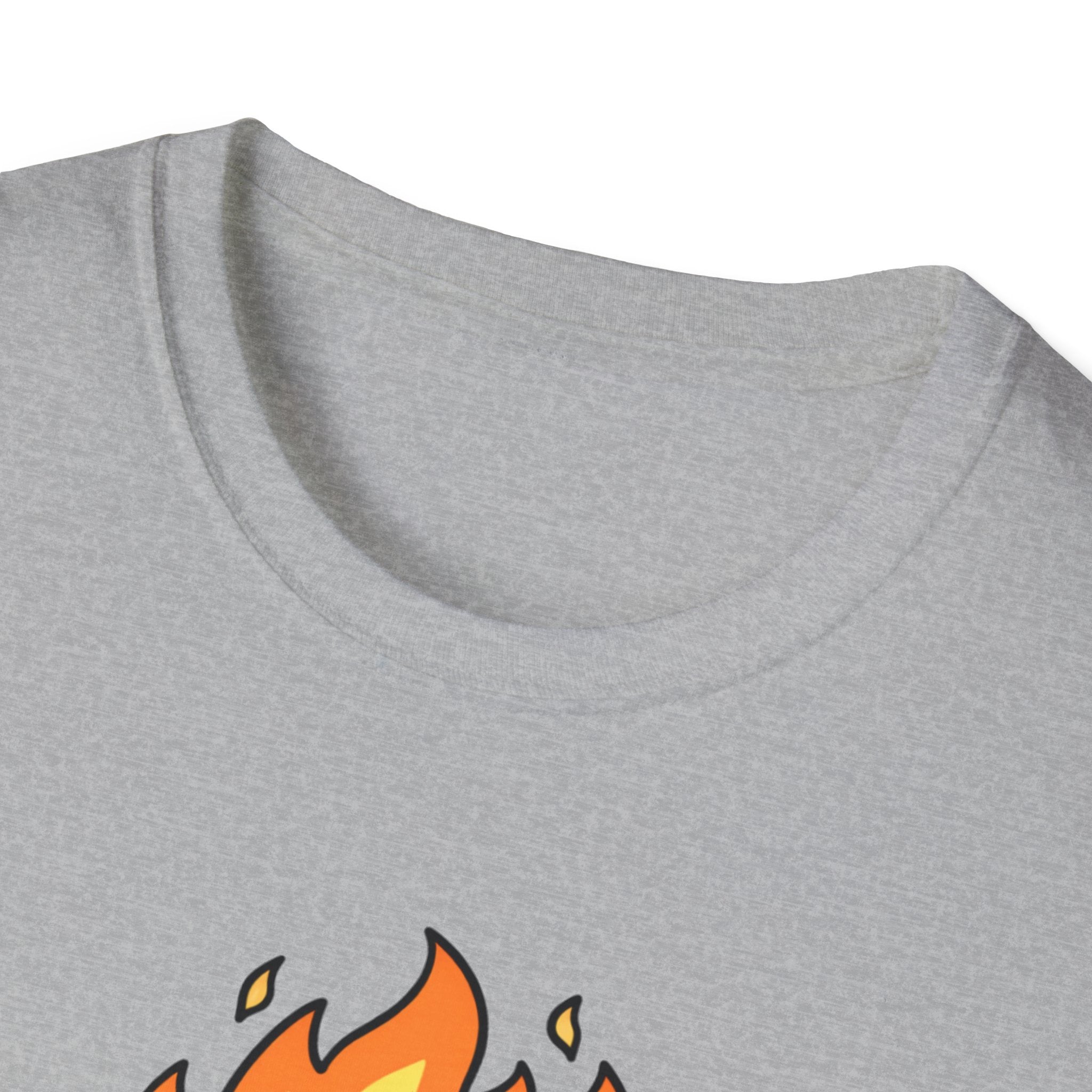 Raccoon On Fire
