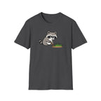 Raccoon Touching Grass