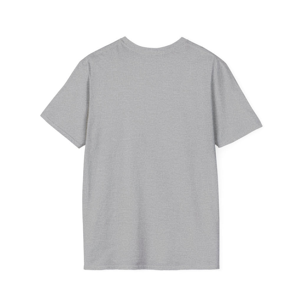Tired Raccoon