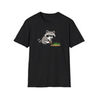 Raccoon Touching Grass