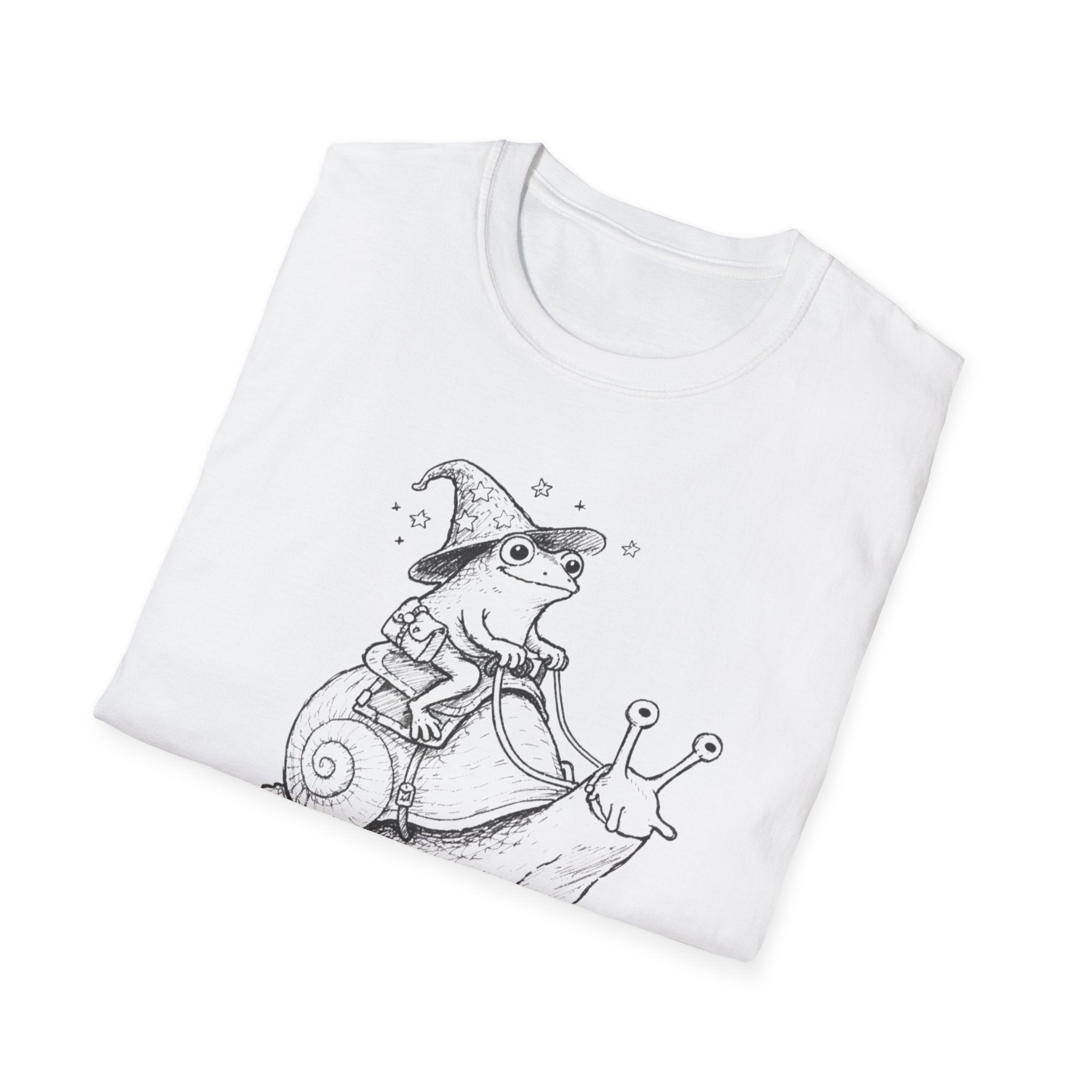 Wizard Riding A Snail