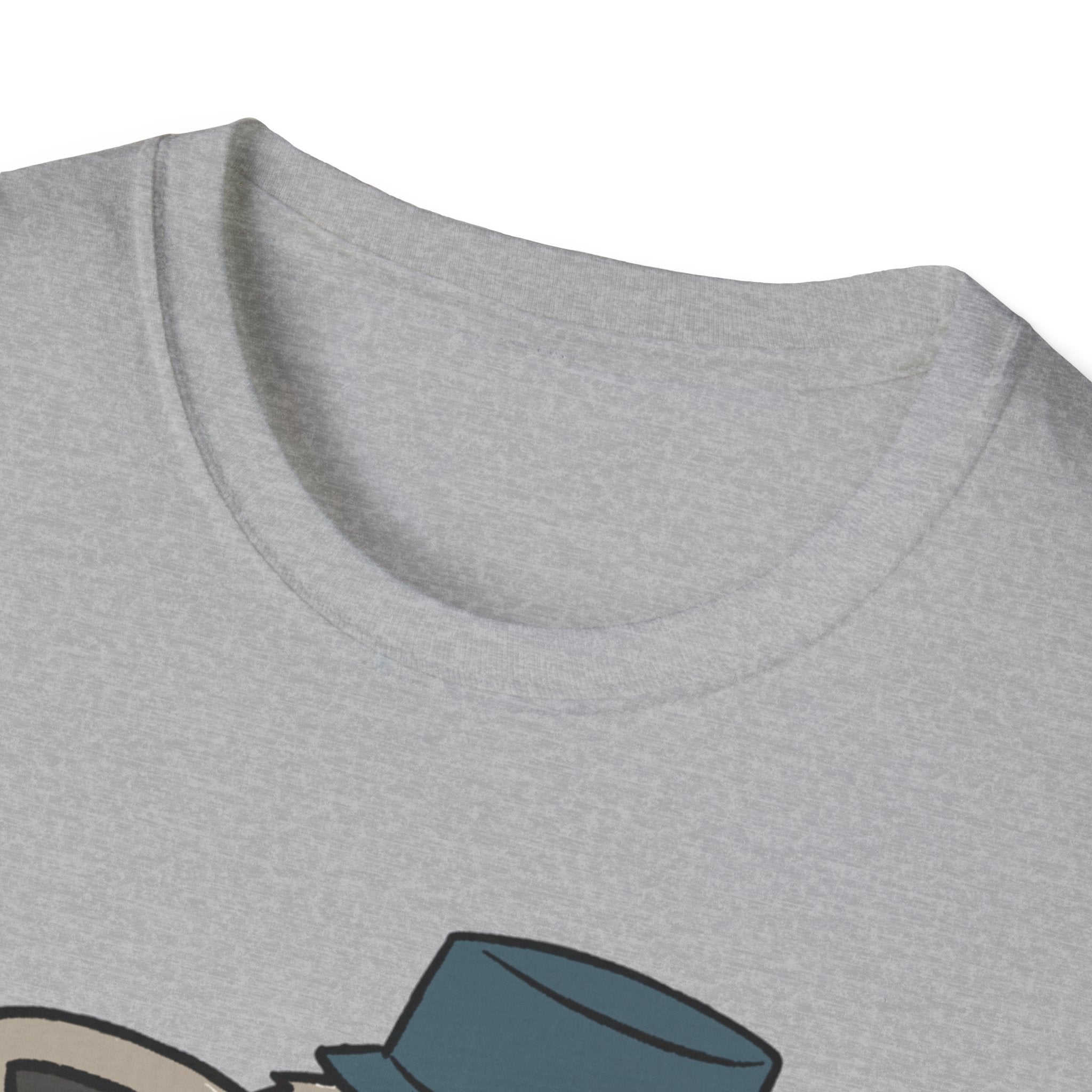 Smirking Raccoon