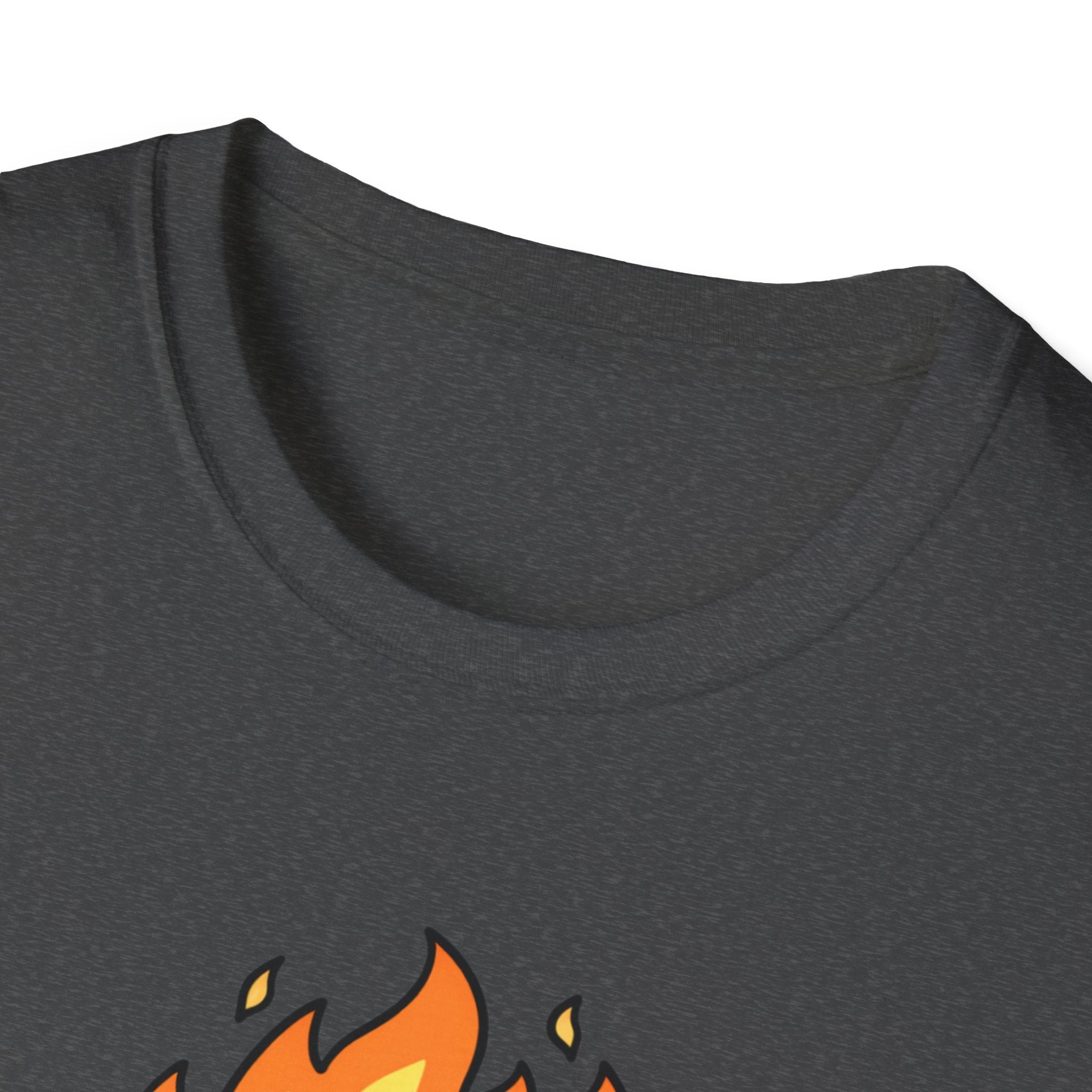 Raccoon On Fire