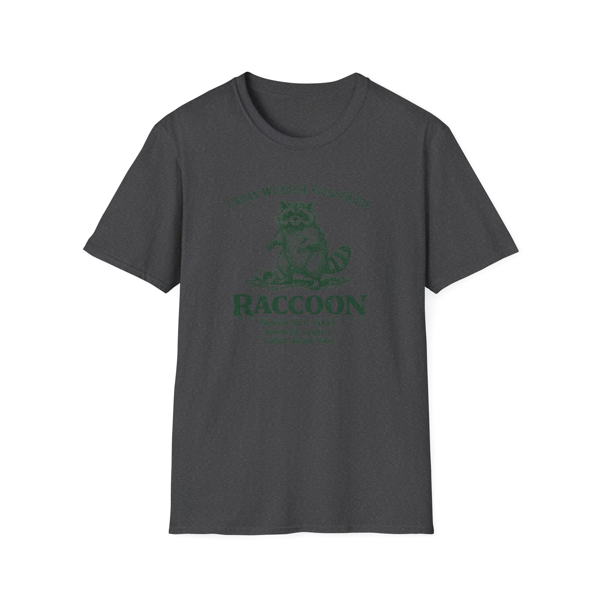 Raccoon Field Guide