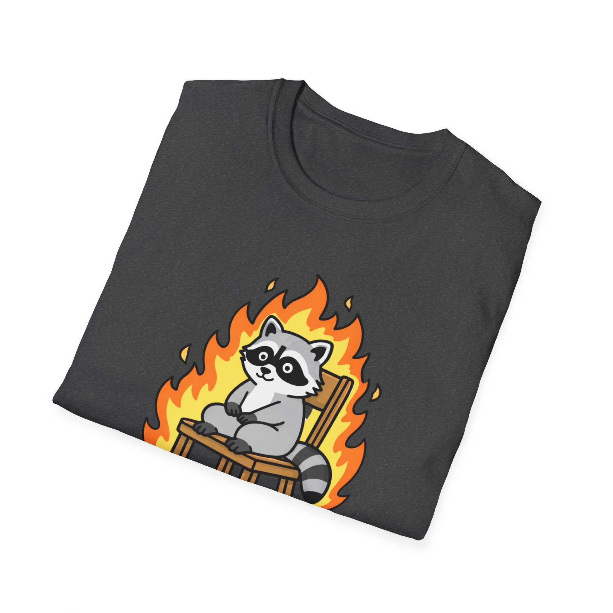 Raccoon On Fire