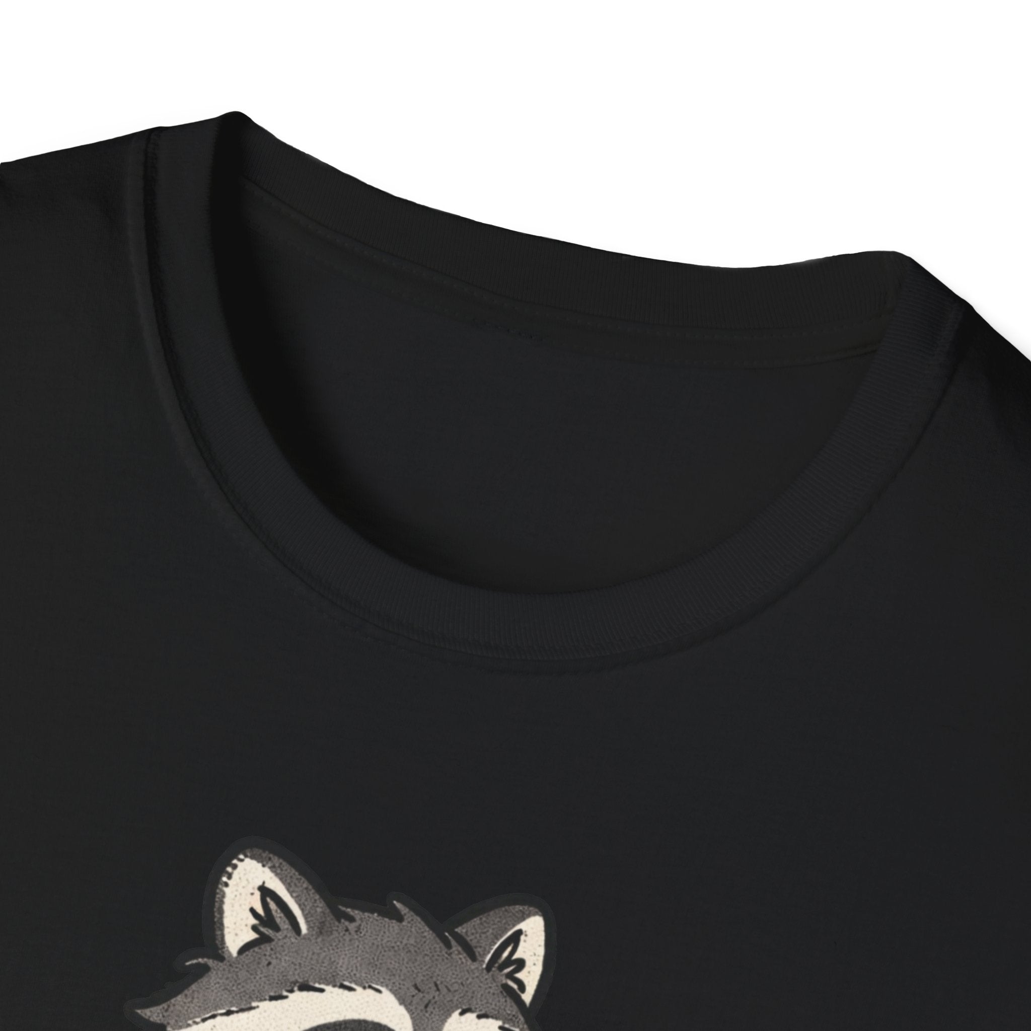 Tired Raccoon